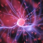 The Science Behind Why We Resist New Opportunities